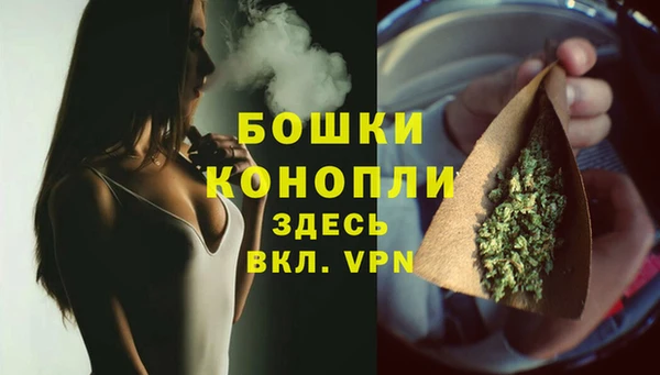 дмт Аркадак