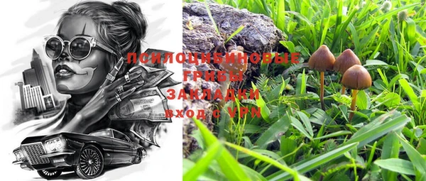 дмт Аркадак