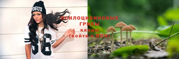 ALPHA-PVP Армянск