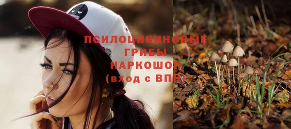 дмт Аркадак