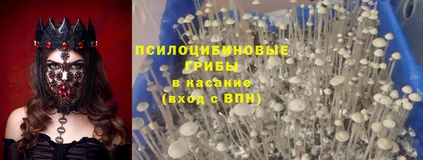 трава Арсеньев