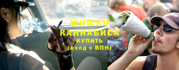 трава Арсеньев