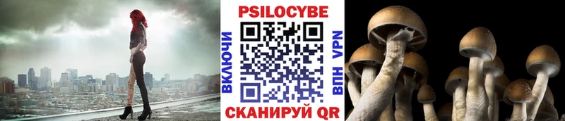 Псилоцибиновые грибы Magic Shrooms  Сим 
